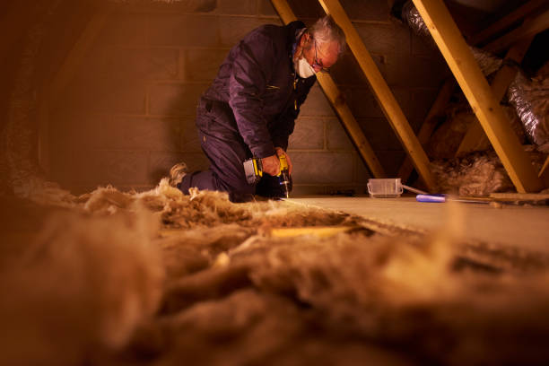 Best Residential Insulation in Austin, AR